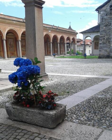 Hotel Elvezia Lake Maggiore Dış mekan fotoğraf